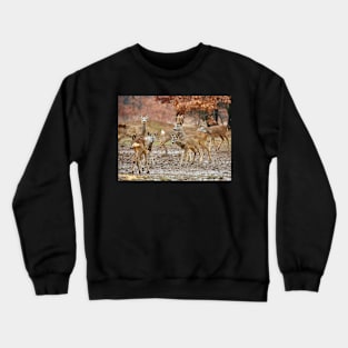 Roe deer family Crewneck Sweatshirt